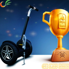 EEC Electric Scooter for Europe and Other Countries